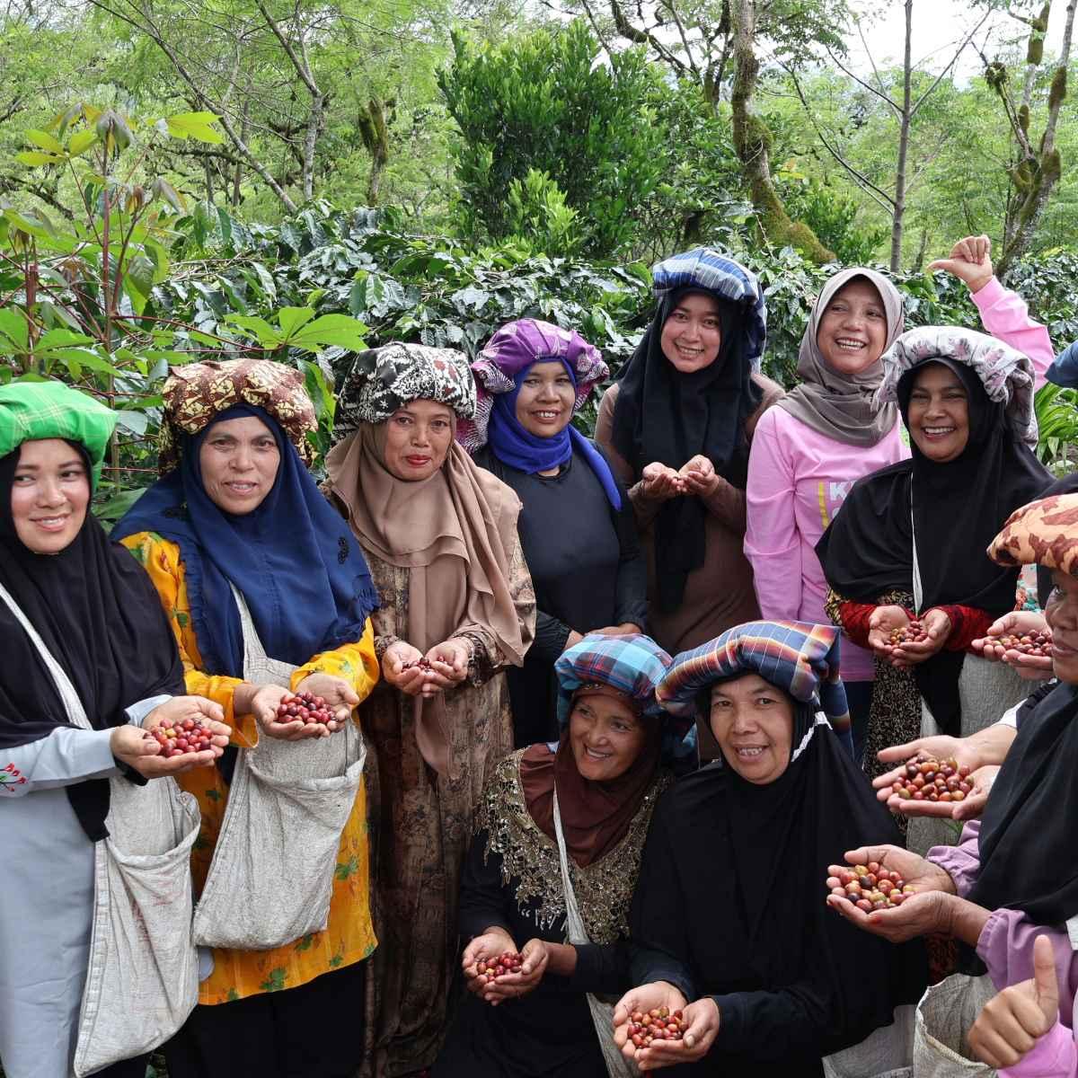 Sumatra | Wicked Joe Organic